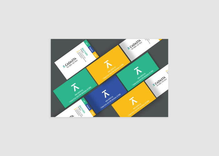 Cadasta_business_cards2